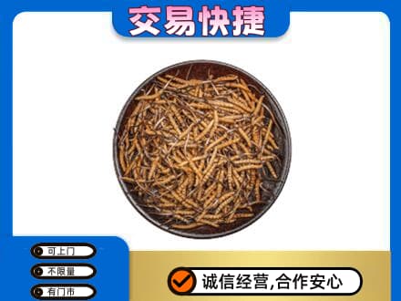 肃州区礼品回收虫草.jpg